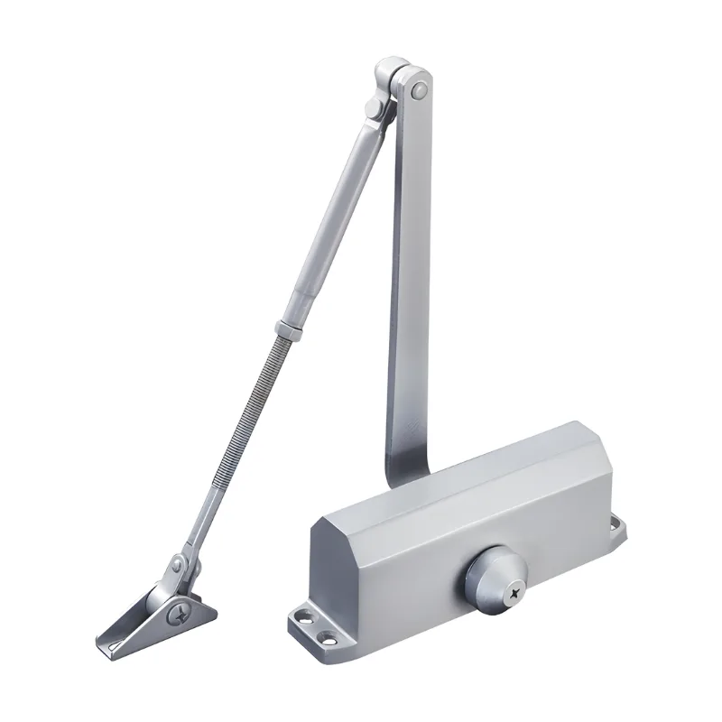 Cierrapuertas para puertas de 40-65 kgs AccessPRO ACCESSDC
